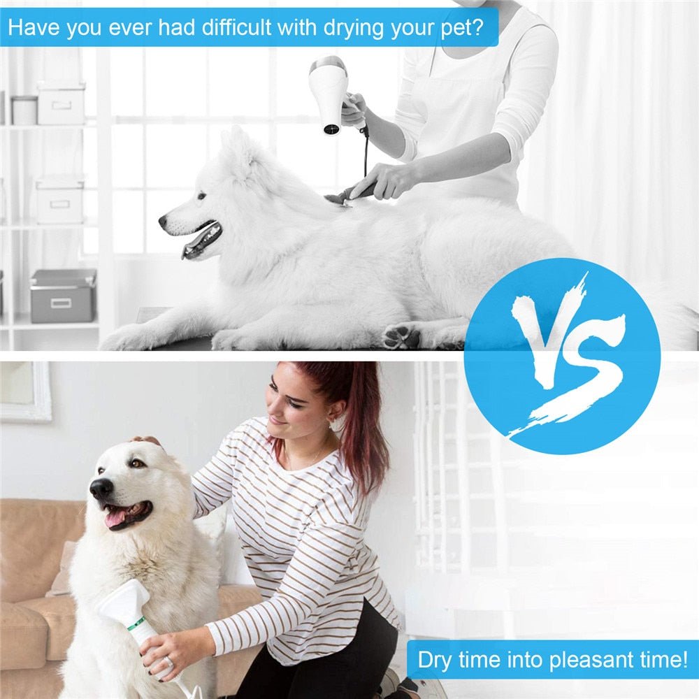 PawYourDay - Portable 2 In 1 Hair Dryer