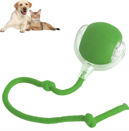 PawYourDay - Smart Rolling Pet Ball