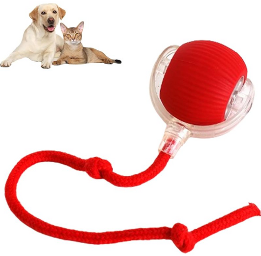 PawYourDay - Smart Rolling Pet Ball