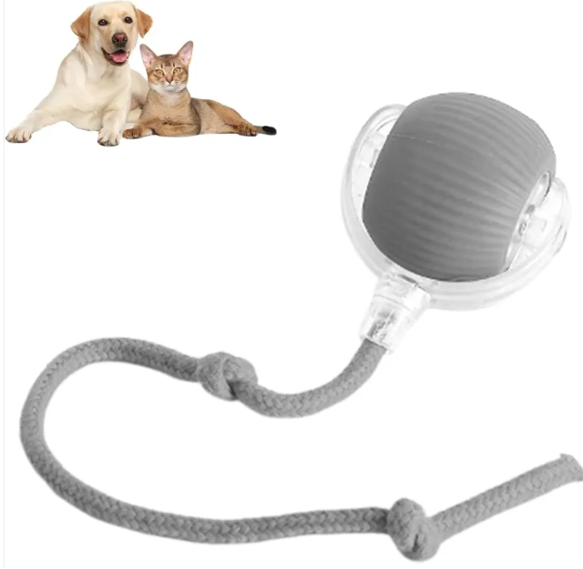 PawYourDay - Smart Rolling Pet Ball