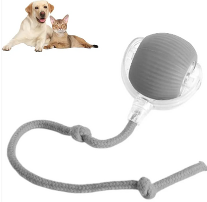 PawYourDay - Smart Rolling Pet Ball